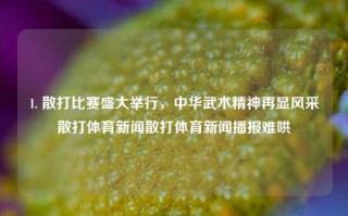 1. 散打比赛盛大举行，中华武术精神再显风采散打体育新闻散打体育新闻播报难哄