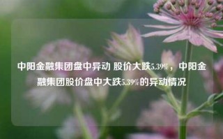 中阳金融集团盘中异动 股价大跌5.39%，中阳金融集团股价盘中大跌5.39%的异动情况