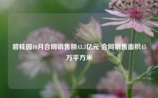 碧桂园10月合同销售额43.3亿元 合同销售面积45万平方米