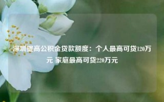 深圳提高公积金贷款额度：个人最高可贷120万元 家庭最高可贷220万元