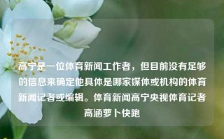 高宁是一位体育新闻工作者，但目前没有足够的信息来确定他具体是哪家媒体或机构的体育新闻记者或编辑。体育新闻高宁央视体育记者高涵萝卜快跑