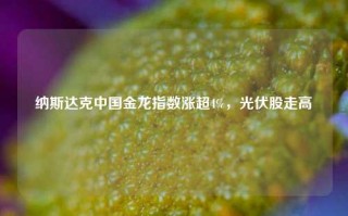 纳斯达克中国金龙指数涨超4%，光伏股走高