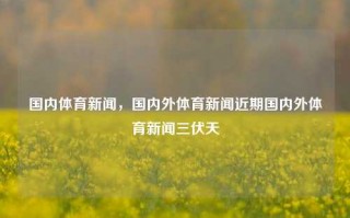 国内体育新闻，国内外体育新闻近期国内外体育新闻三伏天