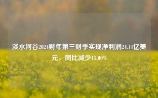 淡水河谷2024财年第三财季实现净利润24.14亿美元，同比减少15.00%