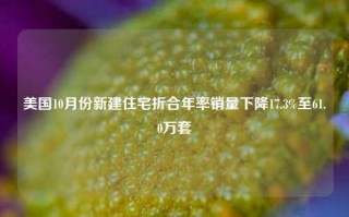 美国10月份新建住宅折合年率销量下降17.3%至61.0万套