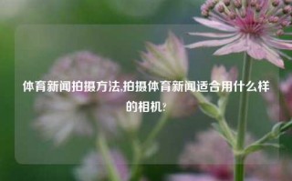 体育新闻拍摄方法,拍摄体育新闻适合用什么样的相机?