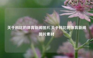 关于科比的体育新闻图片,关于科比的体育新闻图片素材