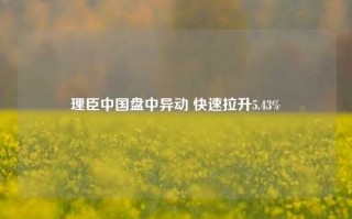 理臣中国盘中异动 快速拉升5.43%