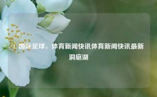 1. 国际足球，体育新闻快讯体育新闻快讯最新洞庭湖