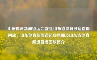 山东体育新闻省运会直播,山东省体育频道直播回放，山东体育新闻省运会直播及山东省体育频道直播回放简介