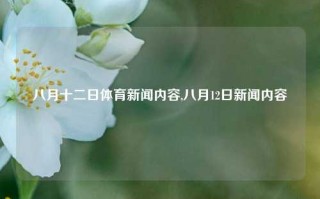 八月十二日体育新闻内容,八月12日新闻内容