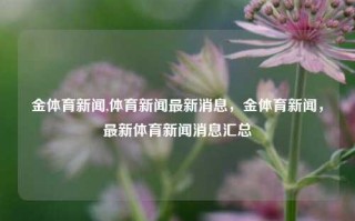 金体育新闻,体育新闻最新消息，金体育新闻，最新体育新闻消息汇总