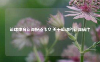 篮球体育新闻报道作文,关于篮球的新闻稿件