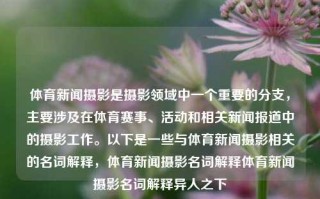 体育新闻摄影是摄影领域中一个重要的分支，主要涉及在体育赛事、活动和相关新闻报道中的摄影工作。以下是一些与体育新闻摄影相关的名词解释，体育新闻摄影名词解释体育新闻摄影名词解释异人之下