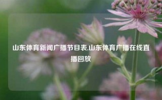 山东体育新闻广播节目表,山东体育广播在线直播回放