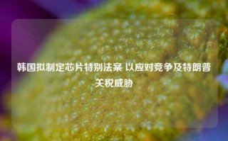 韩国拟制定芯片特别法案 以应对竞争及特朗普关税威胁