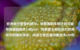 欧洲央行管委内格尔，特朗普的关税计划可能导致德国损失1%的GDP，特朗普关税计划对欧洲经济的潜在冲击，内格尔警告德可能损失GDP的1%