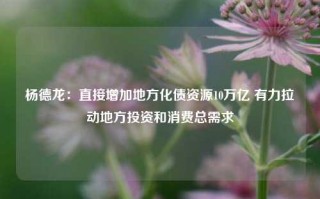 杨德龙：直接增加地方化债资源10万亿 有力拉动地方投资和消费总需求