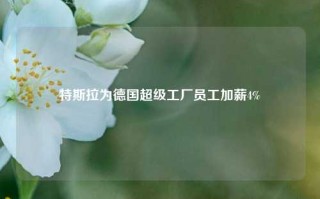 特斯拉为德国超级工厂员工加薪4%