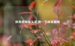 体育新闻版头条,搜一下体育新闻