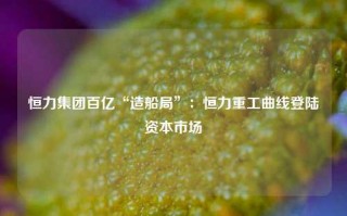 恒力集团百亿“造船局”：恒力重工曲线登陆资本市场