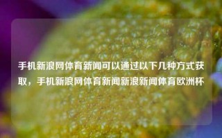 手机新浪网体育新闻可以通过以下几种方式获取，手机新浪网体育新闻新浪新闻体育欧洲杯