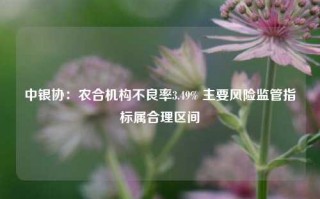 中银协：农合机构不良率3.49% 主要风险监管指标属合理区间