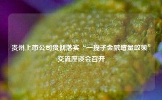 贵州上市公司贯彻落实“一揽子金融增量政策”交流座谈会召开