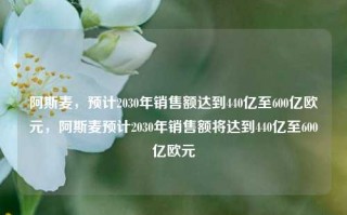 阿斯麦，预计2030年销售额达到440亿至600亿欧元，阿斯麦预计2030年销售额将达到440亿至600亿欧元