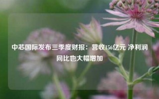 中芯国际发布三季度财报：营收156亿元 净利润同比也大幅增加