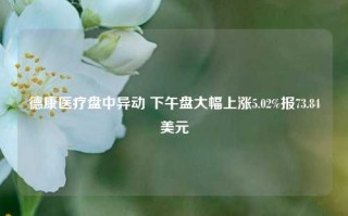 德康医疗盘中异动 下午盘大幅上涨5.02%报73.84美元