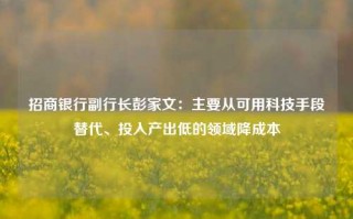 招商银行副行长彭家文：主要从可用科技手段替代、投入产出低的领域降成本