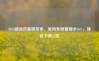 2024胡润百富榜发布，吴向东财富缩水16%，排名下降17位