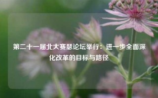 第二十一届北大赛瑟论坛举行：进一步全面深化改革的目标与路径