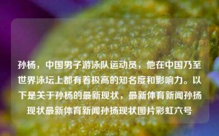 孙杨，中国男子游泳队运动员，他在中国乃至世界泳坛上都有着极高的知名度和影响力。以下是关于孙杨的最新现状，最新体育新闻孙扬现状最新体育新闻孙扬现状图片彩虹六号