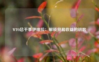 WTO总干事伊维拉：解锁贸易收益的钥匙