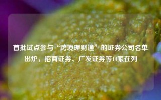 首批试点参与“跨境理财通”的证券公司名单出炉，招商证券、广发证券等14家在列