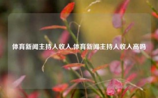 体育新闻主持人收入,体育新闻主持人收入高吗