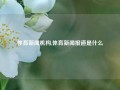 体育新闻机构,体育新闻报道是什么