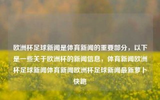 欧洲杯足球新闻是体育新闻的重要部分，以下是一些关于欧洲杯的新闻信息，体育新闻欧洲杯足球新闻体育新闻欧洲杯足球新闻最新萝卜快跑