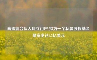 高盛前合伙人自立门户 拟为一个私募股权基金募资多达8.5亿美元