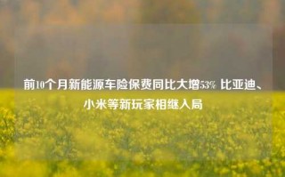 前10个月新能源车险保费同比大增53% 比亚迪、小米等新玩家相继入局