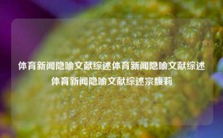 体育新闻隐喻文献综述体育新闻隐喻文献综述体育新闻隐喻文献综述宗馥莉