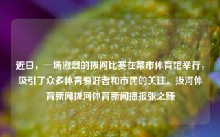 近日，一场激烈的拔河比赛在某市体育馆举行，吸引了众多体育爱好者和市民的关注。拔河体育新闻拔河体育新闻播报张之臻