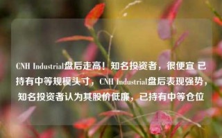 CNH Industrial盘后走高！知名投资者，很便宜 已持有中等规模头寸，CNH Industrial盘后表现强势，知名投资者认为其股价低廉，已持有中等仓位