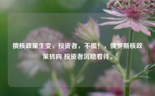 俄核政策生变，投资者，不慌！，俄罗斯核政策转向 投资者沉稳看待。