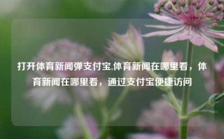 打开体育新闻弹支付宝,体育新闻在哪里看，体育新闻在哪里看，通过支付宝便捷访问