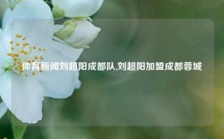 体育新闻刘超阳成都队,刘超阳加盟成都蓉城