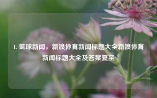 1. 篮球新闻，新浪体育新闻标题大全新浪体育新闻标题大全及答案夏至