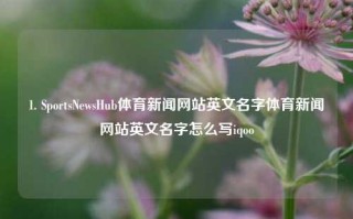 1. SportsNewsHub体育新闻网站英文名字体育新闻网站英文名字怎么写iqoo